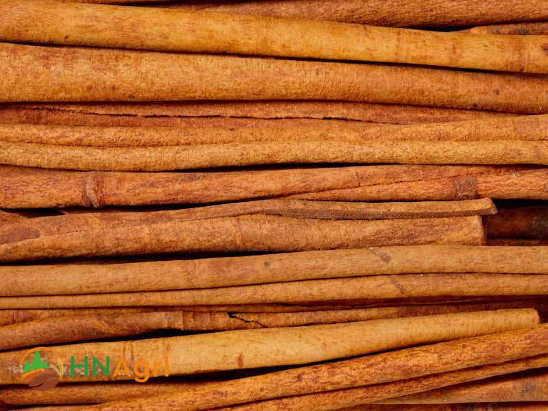 indian-cinnamon-unveiled-aromatic-delights-from-the-land-of-spices-2