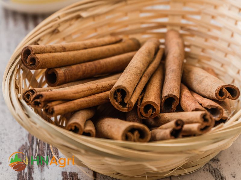 indian-cinnamon-unveiled-aromatic-delights-from-the-land-of-spices-3