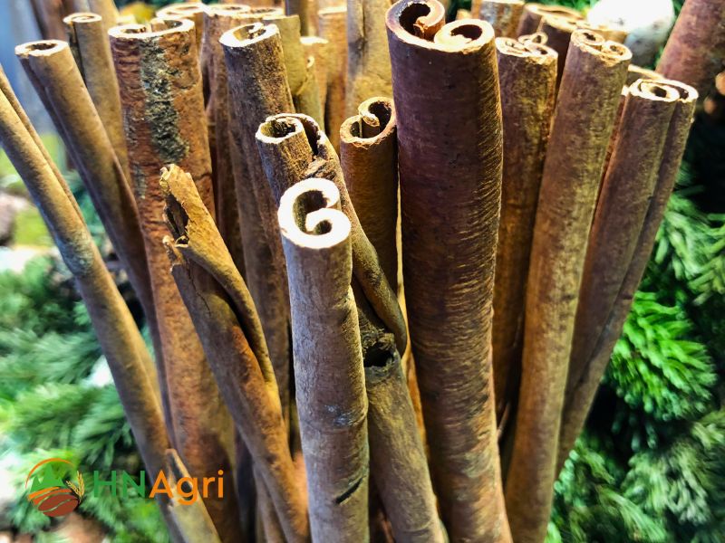unveiling-top-indian-cinnamon-suppliers-you-should-know-1